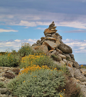 小黑ddos压力测试平台