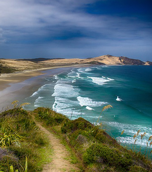 【在线云端版】即点即用的DDOS网页端