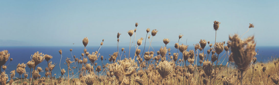 攻击网站服务器